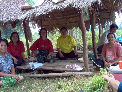 reisbauern in thailand