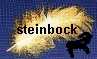 Zeichen-Partner STEINBOCK