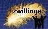 Sternzeichen Zwilling