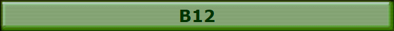 B12