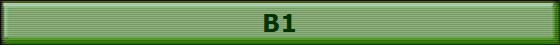 B1