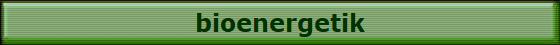 bioenergetik